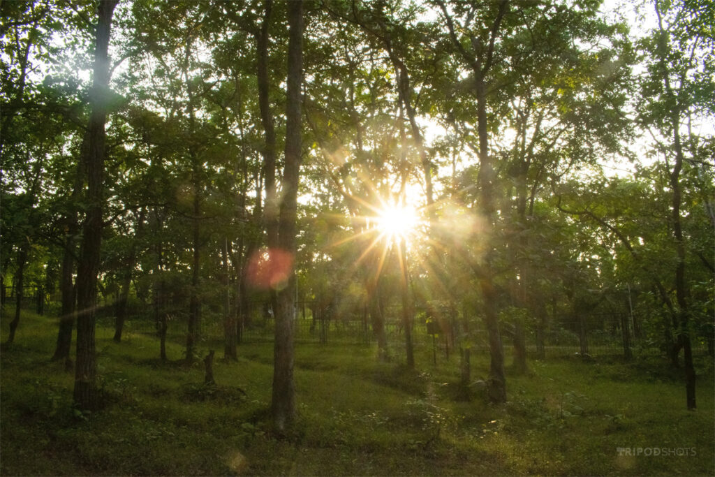 sunrise and sunset images free download
