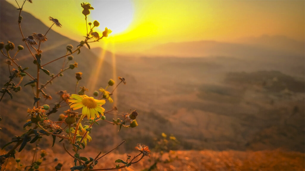 sunrise and sunset images free download